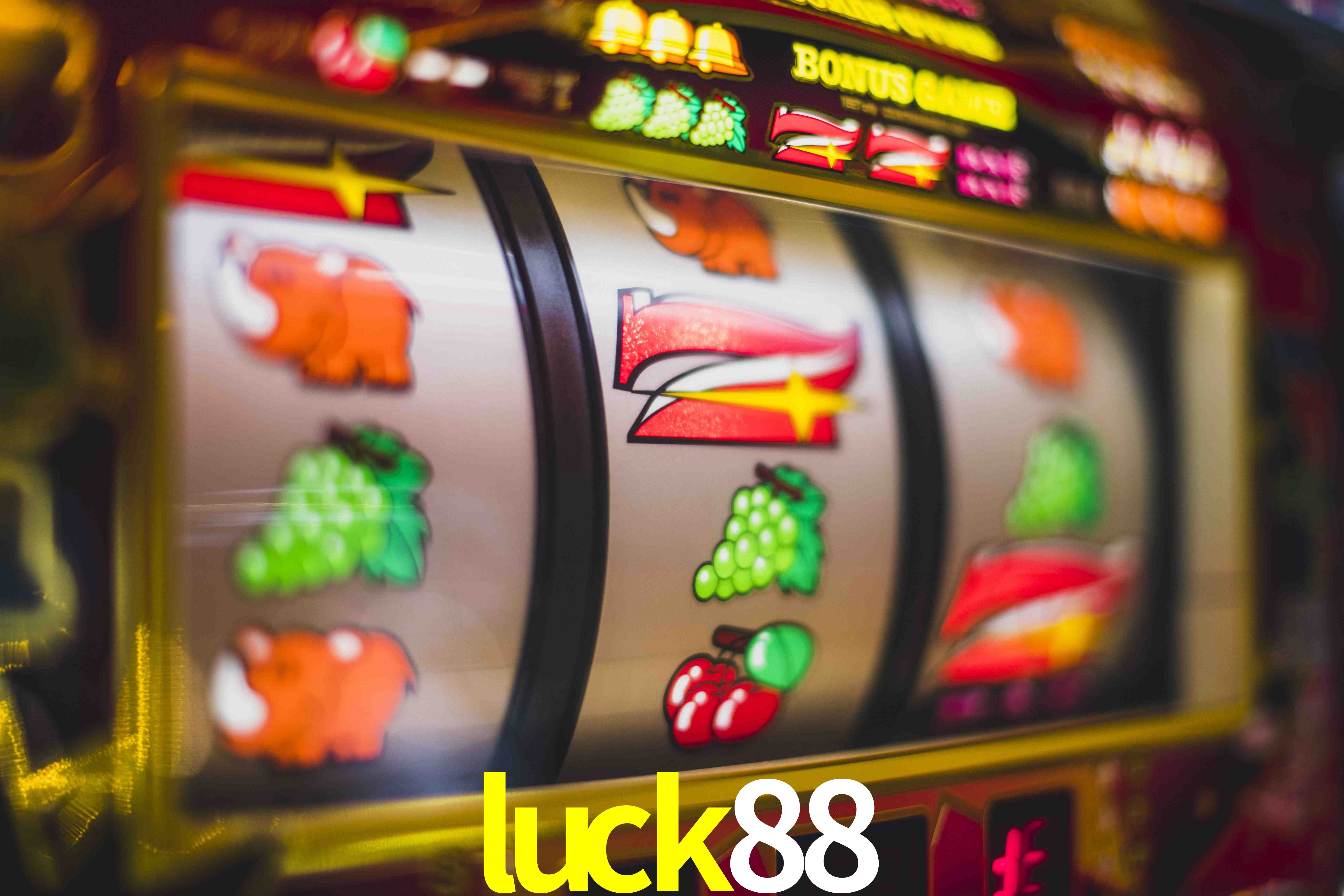 Experiência VIP luck88